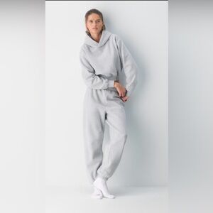 Aritzia Cozy Sweatfleece Mega Jogger